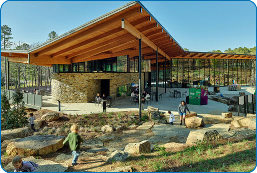 park image